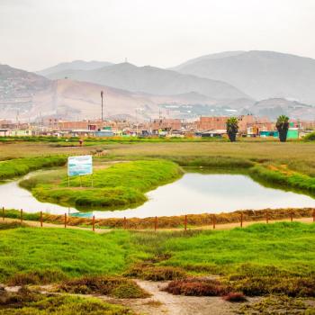 Foto de los Humedales de Ventanilla